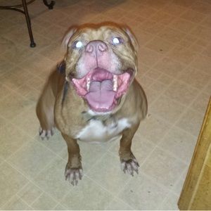 Meet your Posher, Dorranne